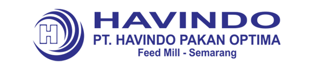 logo website havindo-2